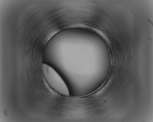X0000092020905200709061327