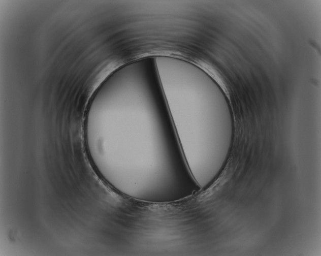X0000092020906200709061327