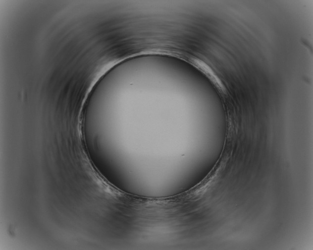 X0000092020908200709061327