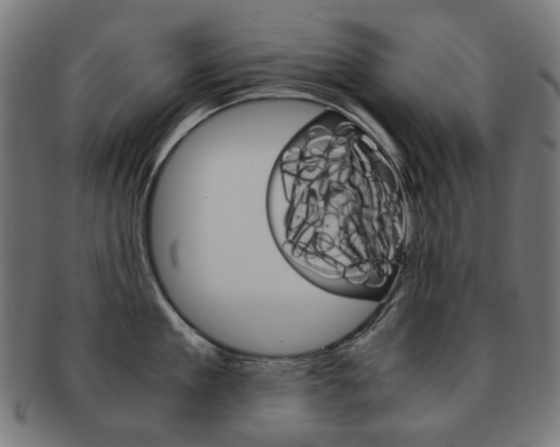 X0000092020909200709061327