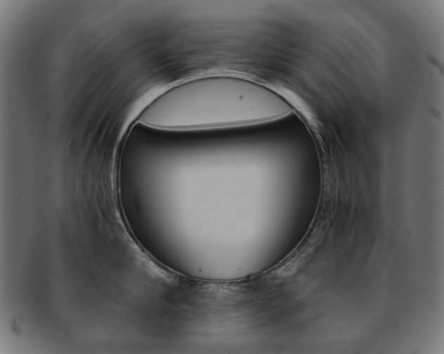 X0000092020910200709061327