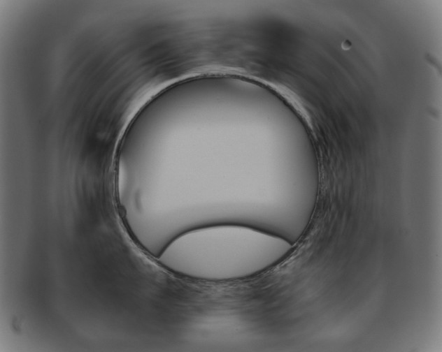 X0000092020911200709061327