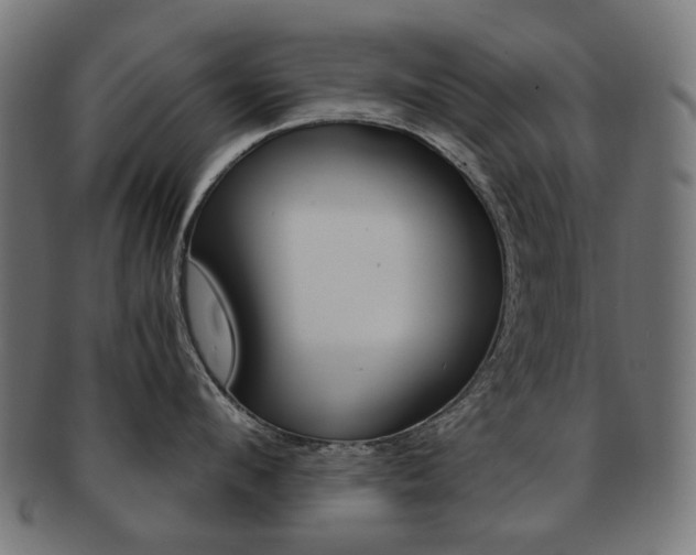 X0000092020912200709061327