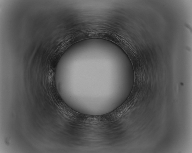 X0000092020914200709061327
