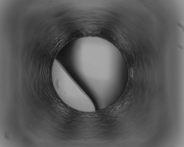 X0000092020915200709061327