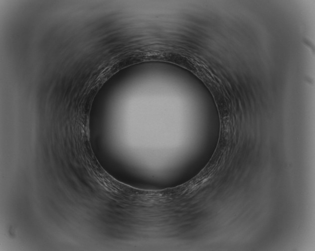 X0000092020916200709061327