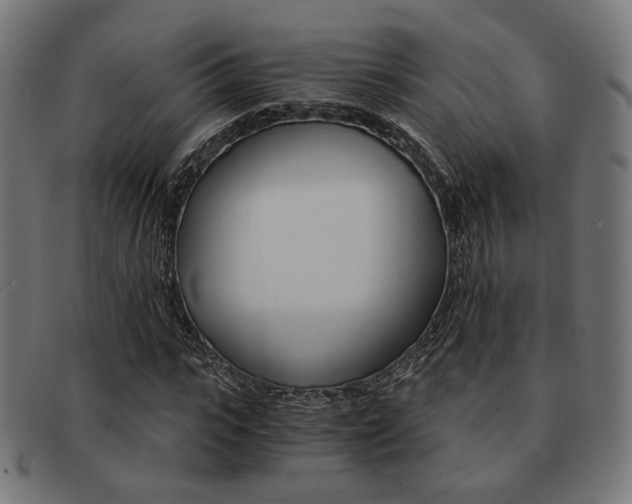 X0000092020919200709061327
