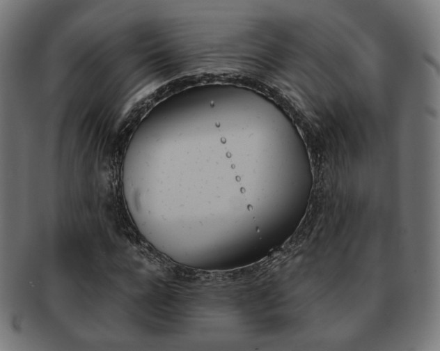 X0000092020920200709061327