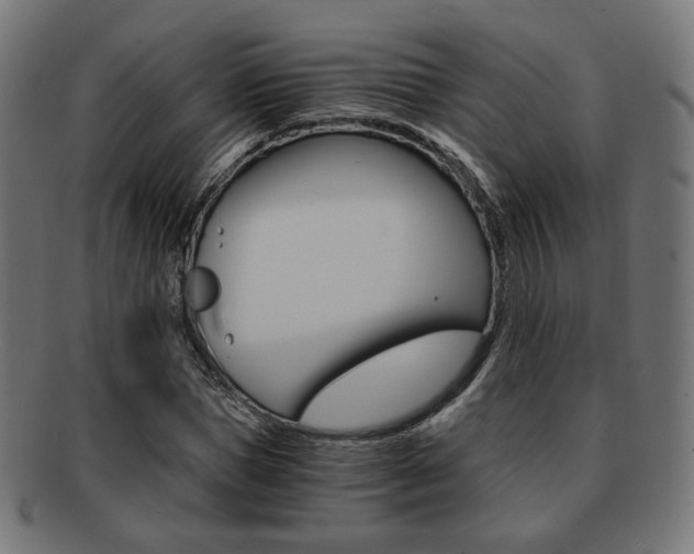 X0000092020921200709061327