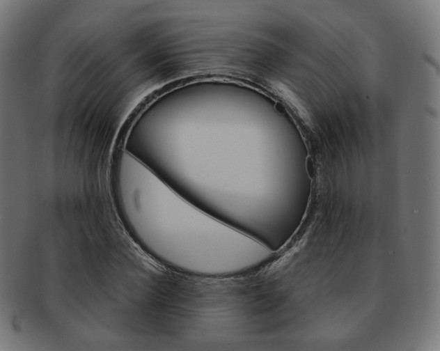 X0000092020924200709061327