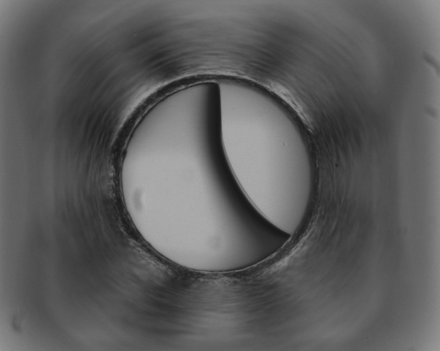 X0000092020926200709061327