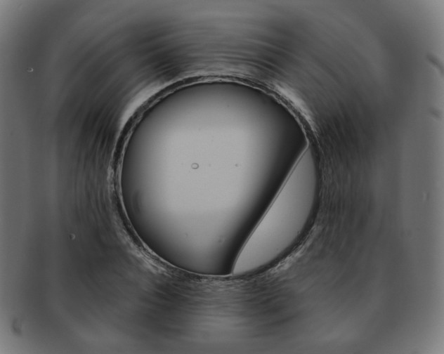 X0000092020928200709061327