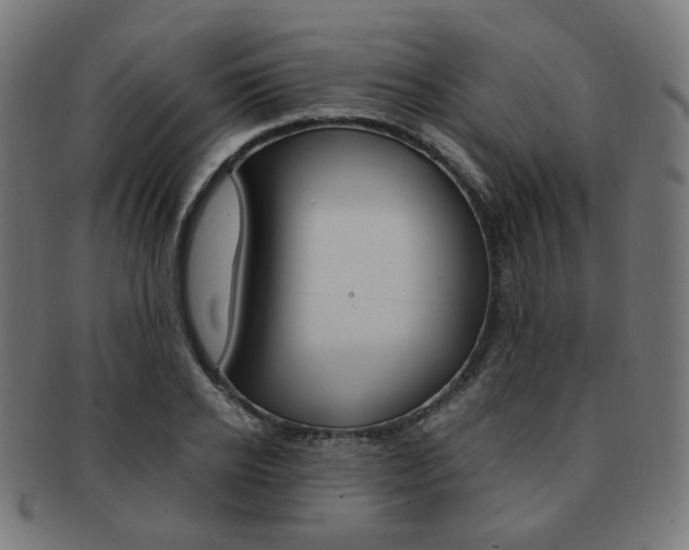 X0000092020934200709061327