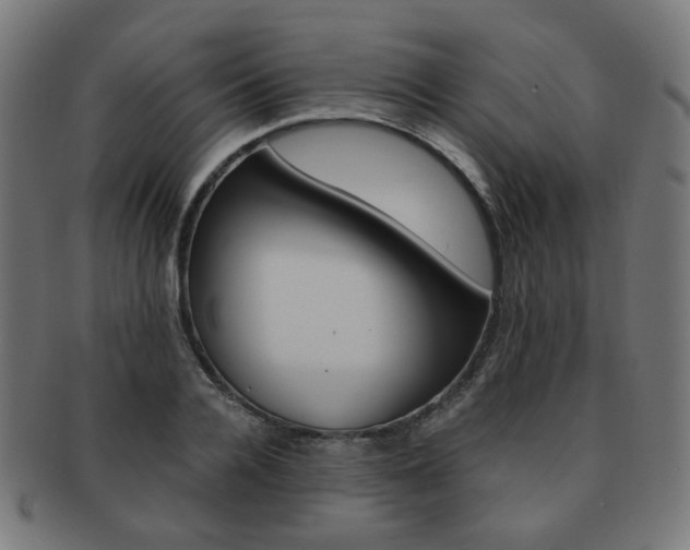 X0000092020936200709061327