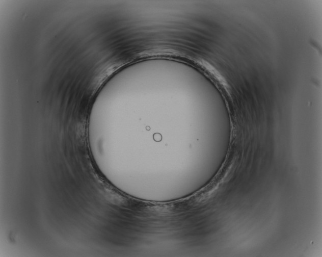 X0000092020937200709061327