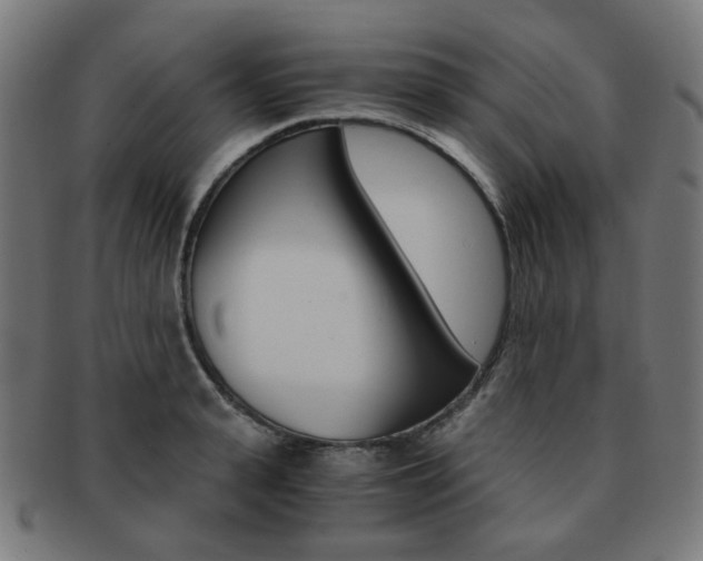 X0000092020943200709061327