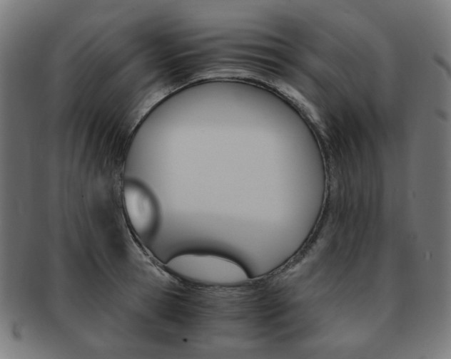 X0000092020945200709061327