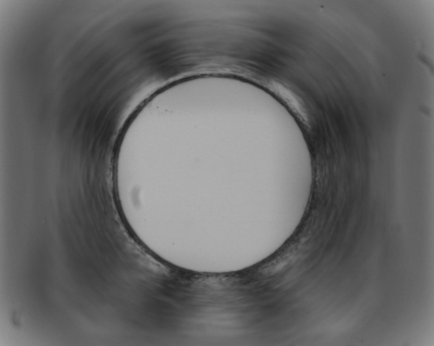 X0000092020950200709061327