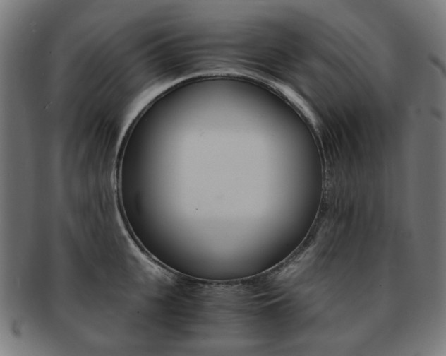 X0000092020951200709061327