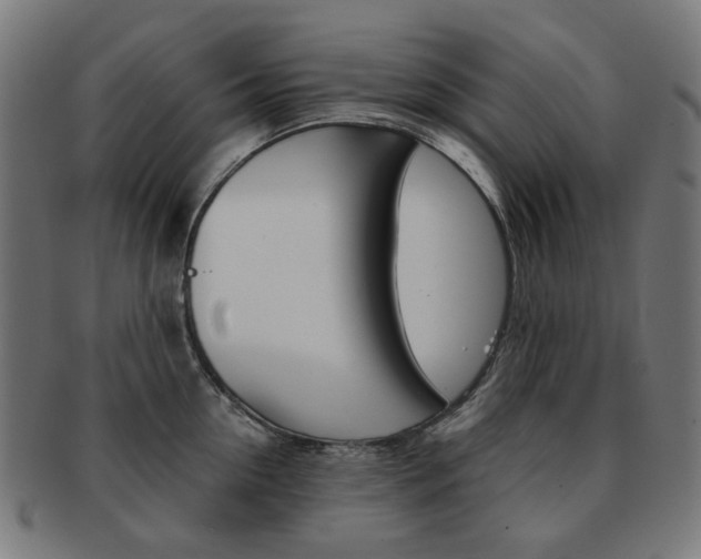 X0000092020954200709061327