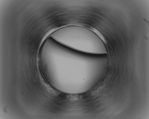 X0000092020955200709061327