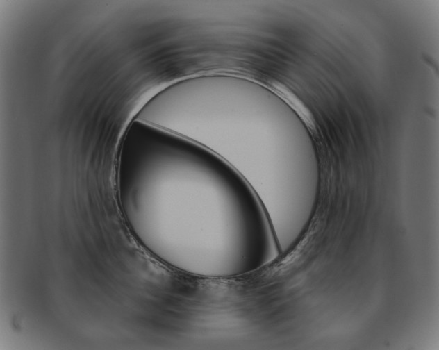 X0000092020956200709061327
