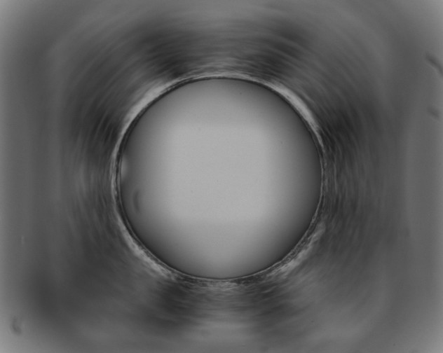 X0000092020957200709061327
