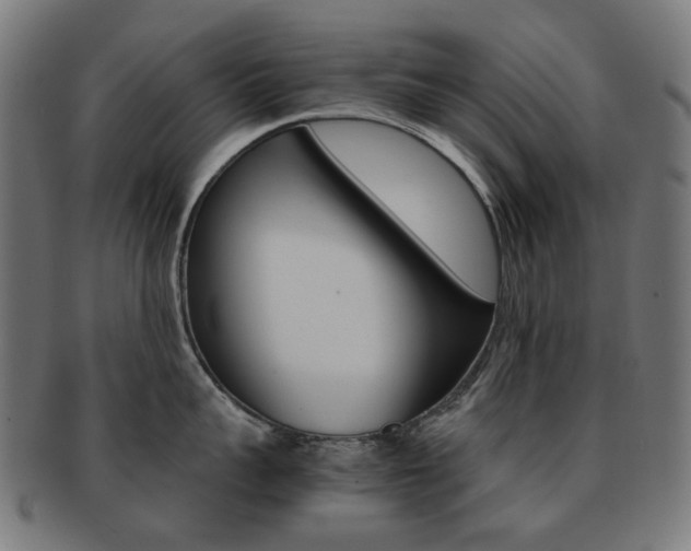 X0000092020959200709061327