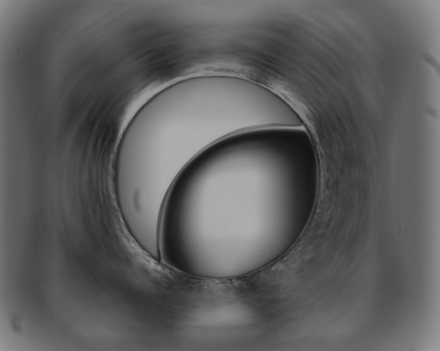 X0000092020960200709061327