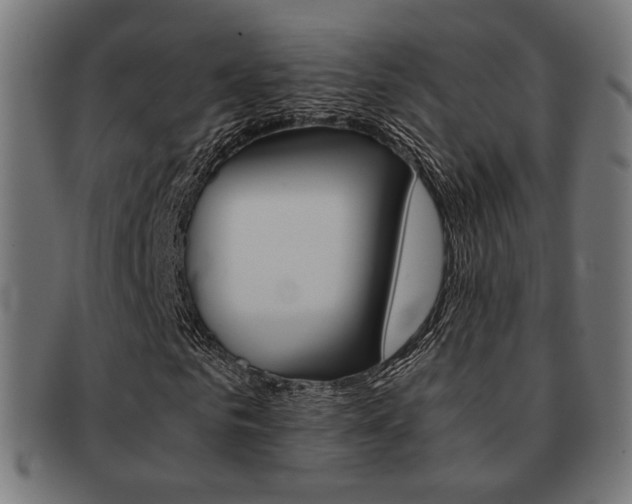 X0000092020961200709061326