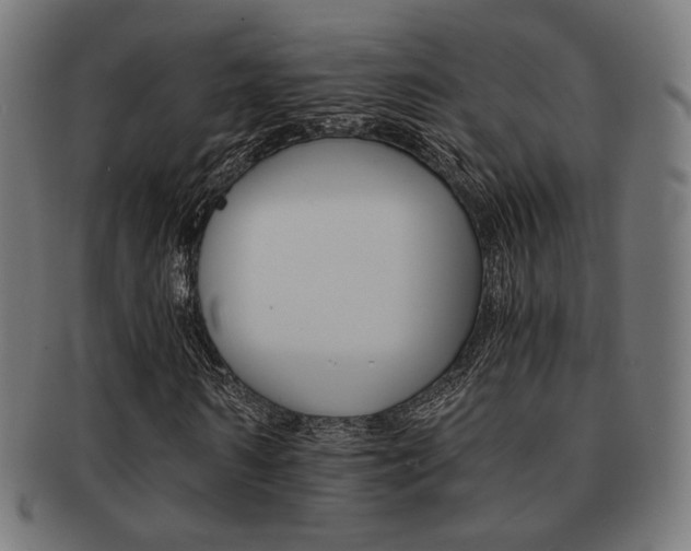 X0000092020962200709061326