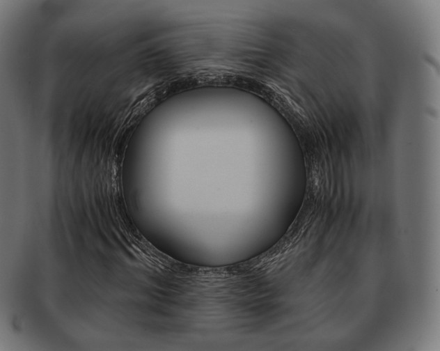 X0000092020964200709061326