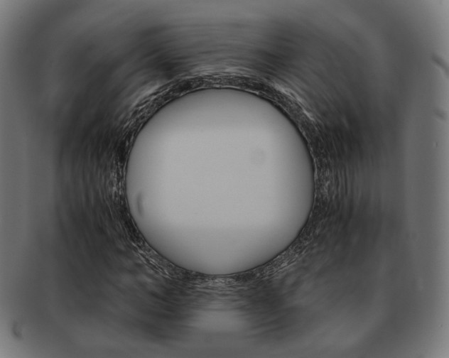 X0000092020966200709061326