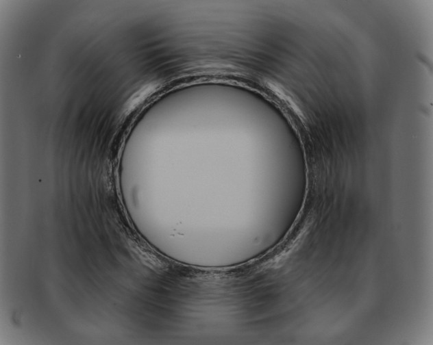 X0000092020970200709061326