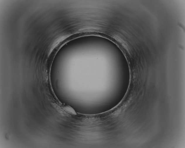 X0000092020973200709061326