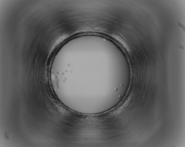 X0000092020974200709061326