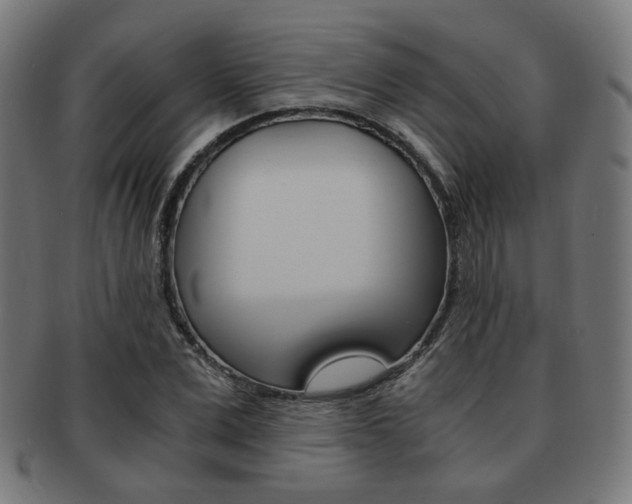 X0000092020975200709061326