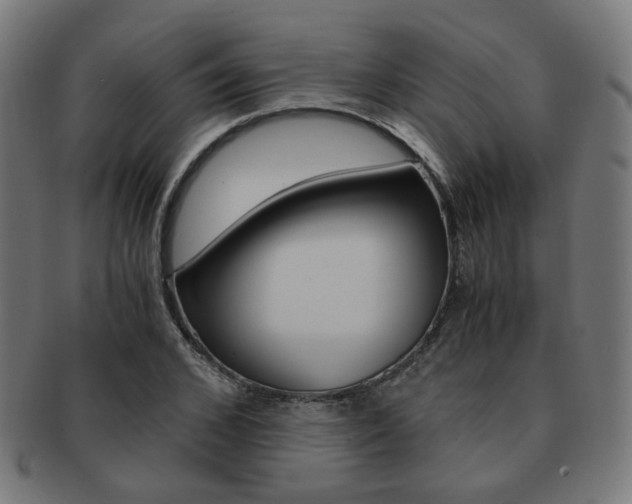 X0000092020976200709061326