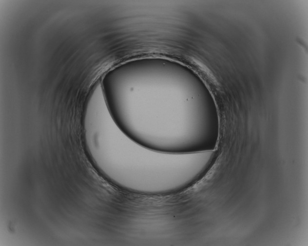 X0000092020977200709061326