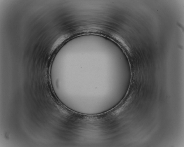 X0000092020978200709061326