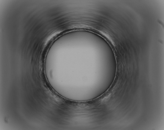 X0000092020979200709061326