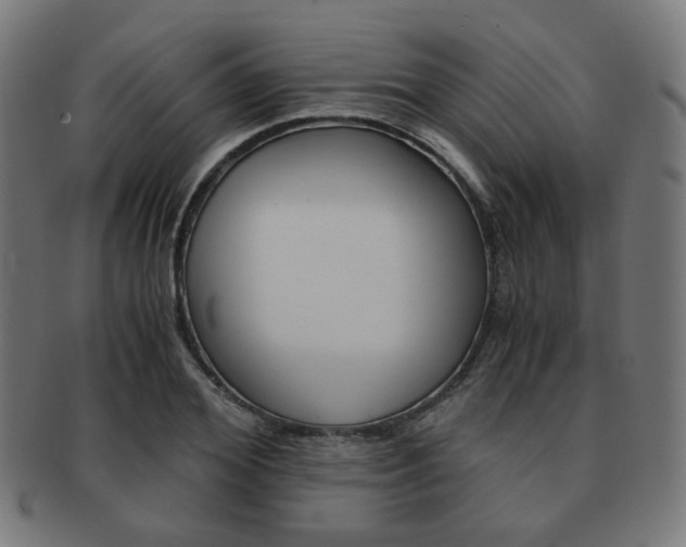 X0000092020980200709061326