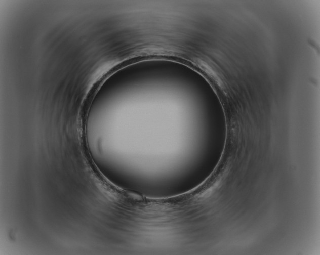 X0000092020981200709061326