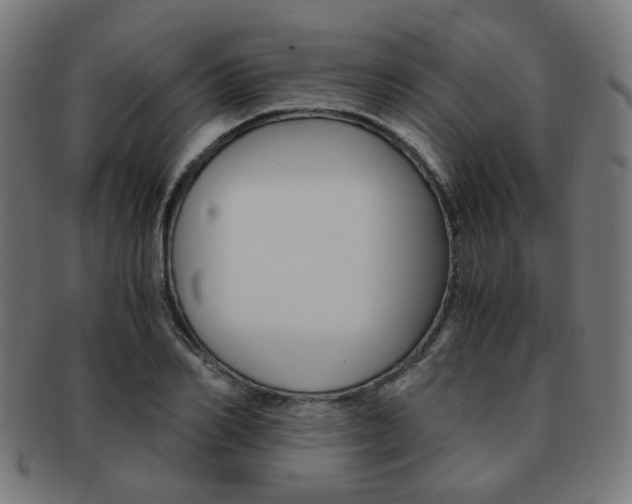 X0000092020982200709061326