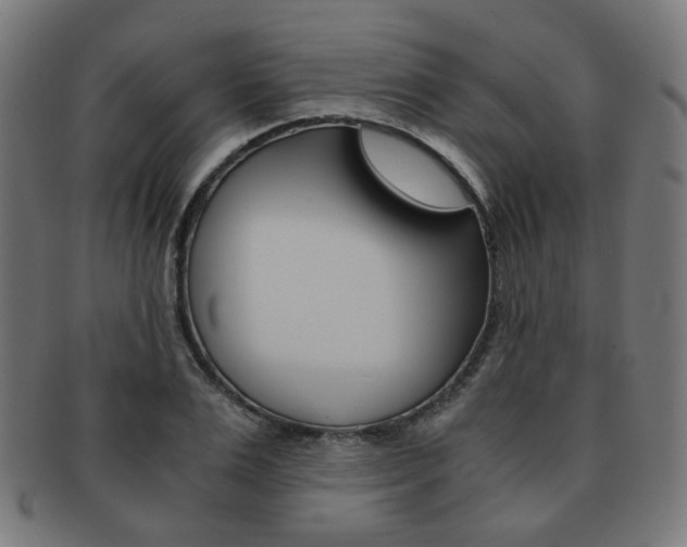 X0000092020983200709061326