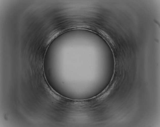 X0000092020985200709061326