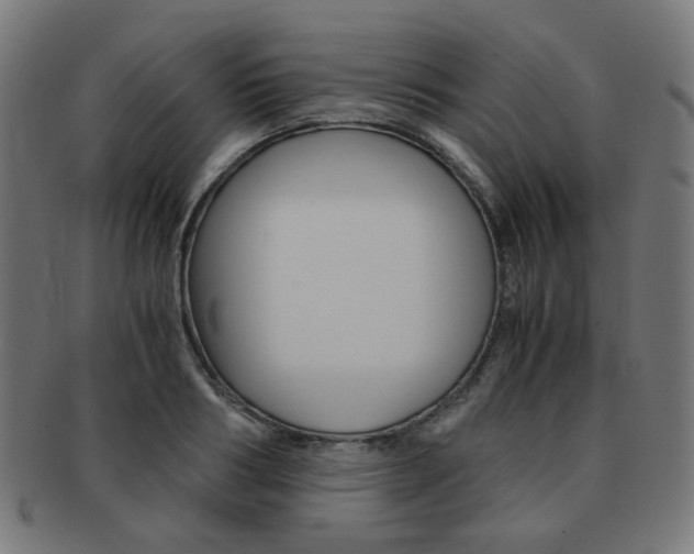 X0000092020986200709061326
