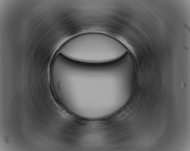 X0000092020988200709061326