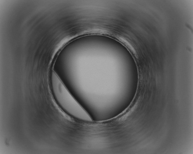 X0000092020989200709061326