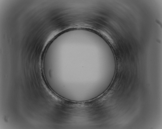 X0000092020990200709061326
